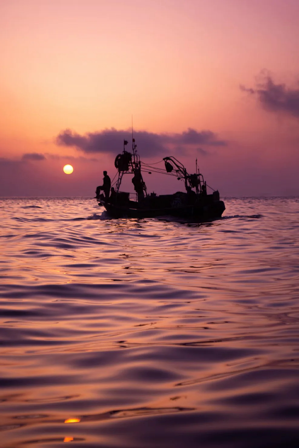 Golden hour sail