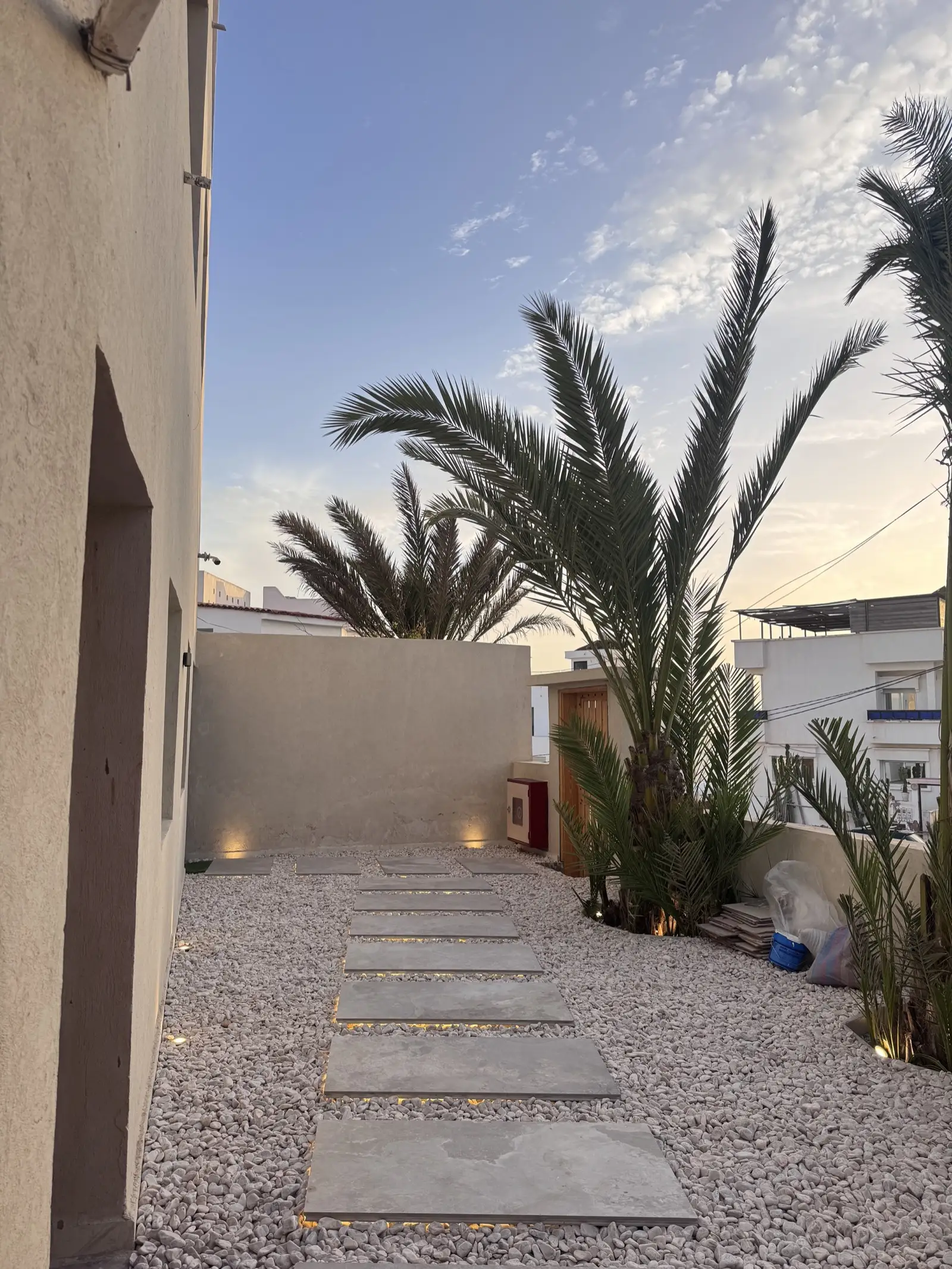 The garden · palms and pale stone